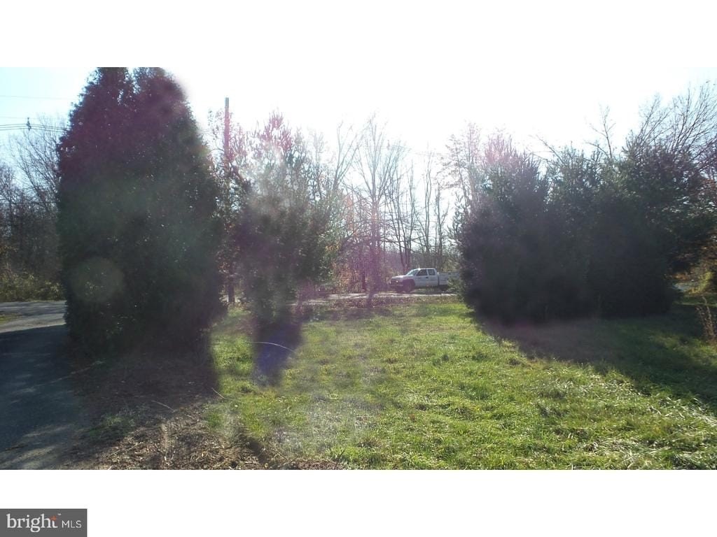 Picture 3
