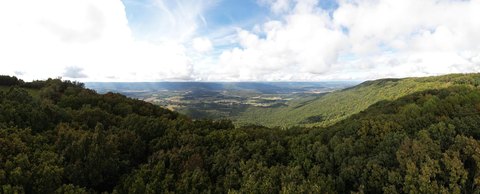 Land, Signal Mountain, TN