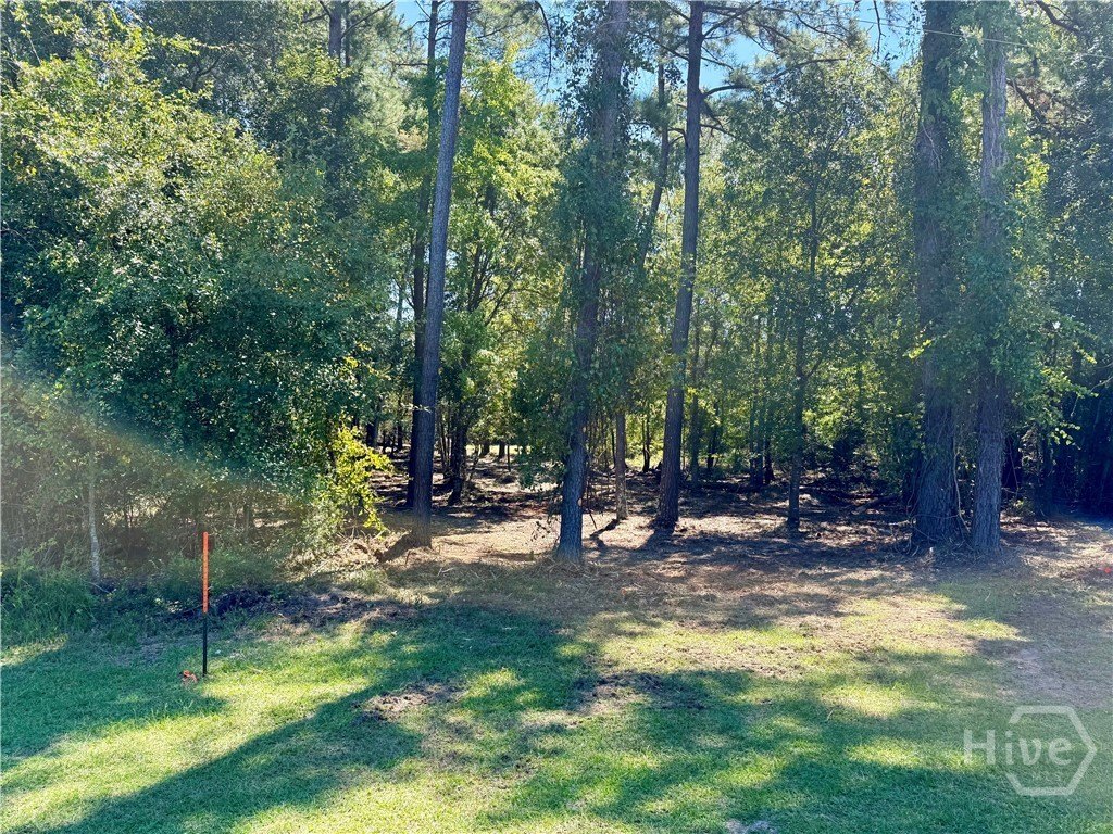 Picture 2