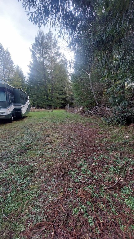 Picture 5