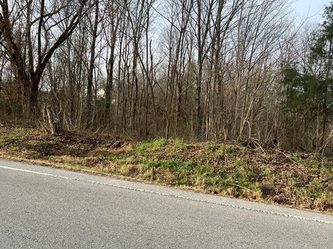 Byrdstown Land For Sale
