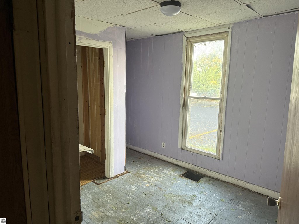 Picture 5