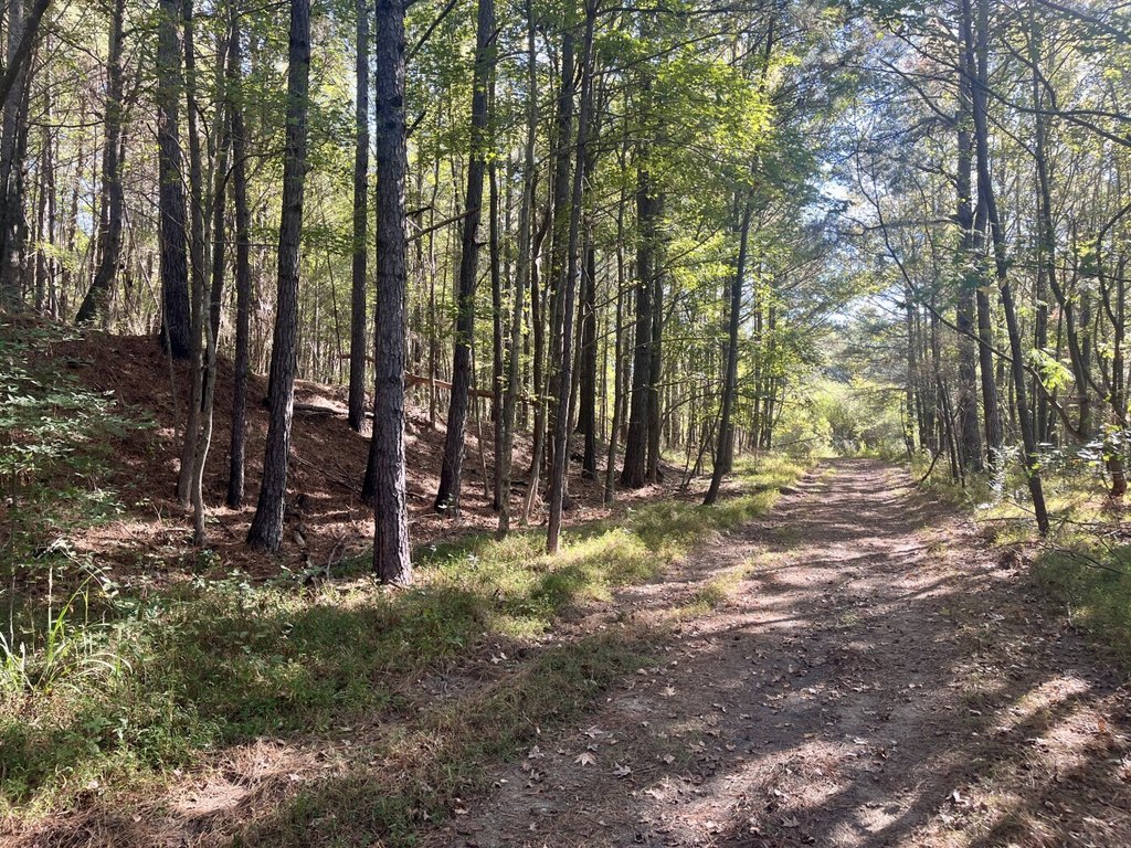 Picture 27