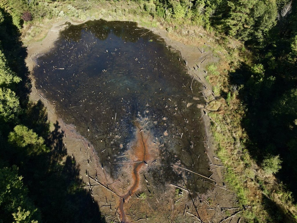 Picture 17