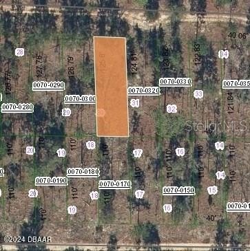 Six Lots Near Palatka