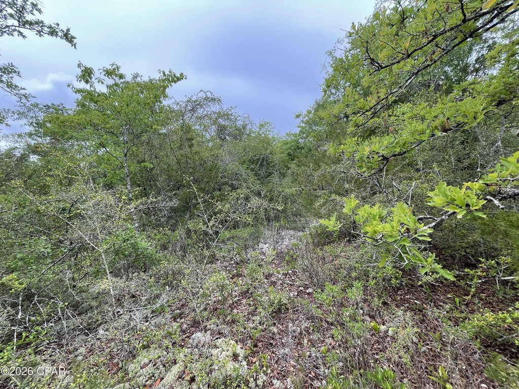 Picture 3