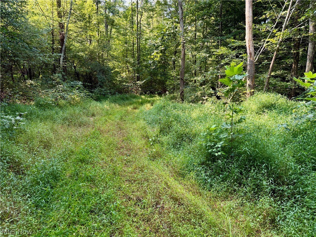 Picture 23