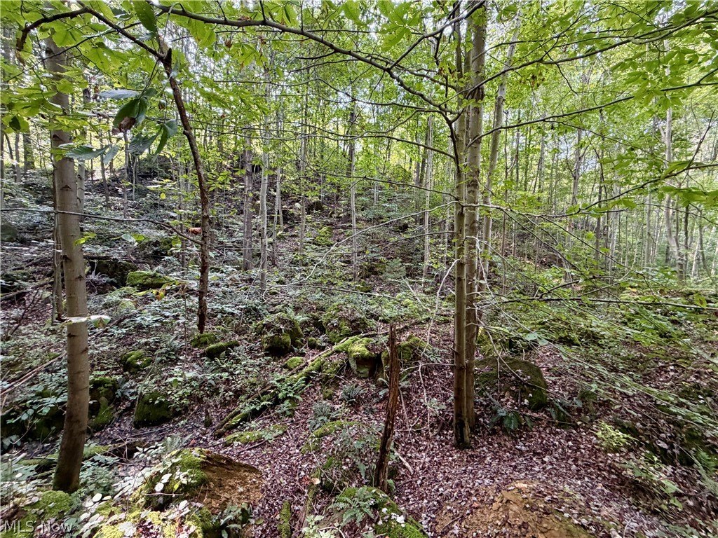 Picture 25