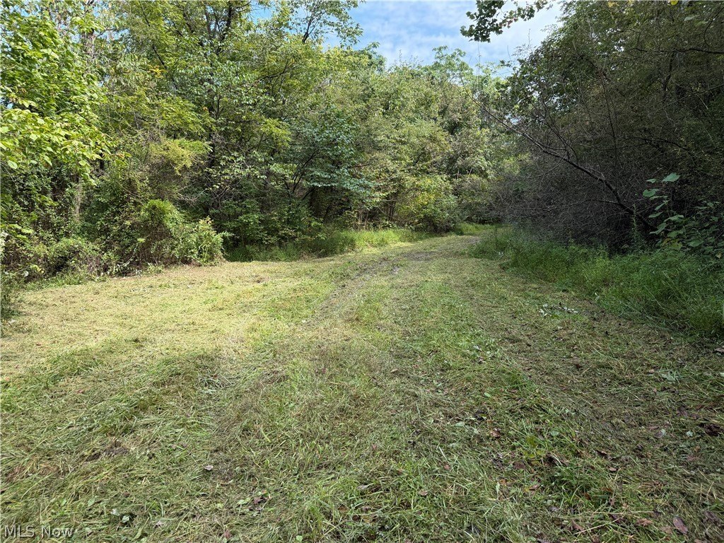 Picture 28