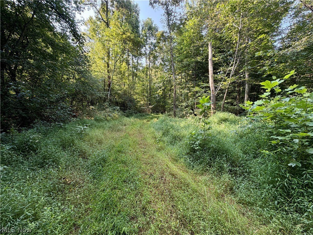 Picture 22