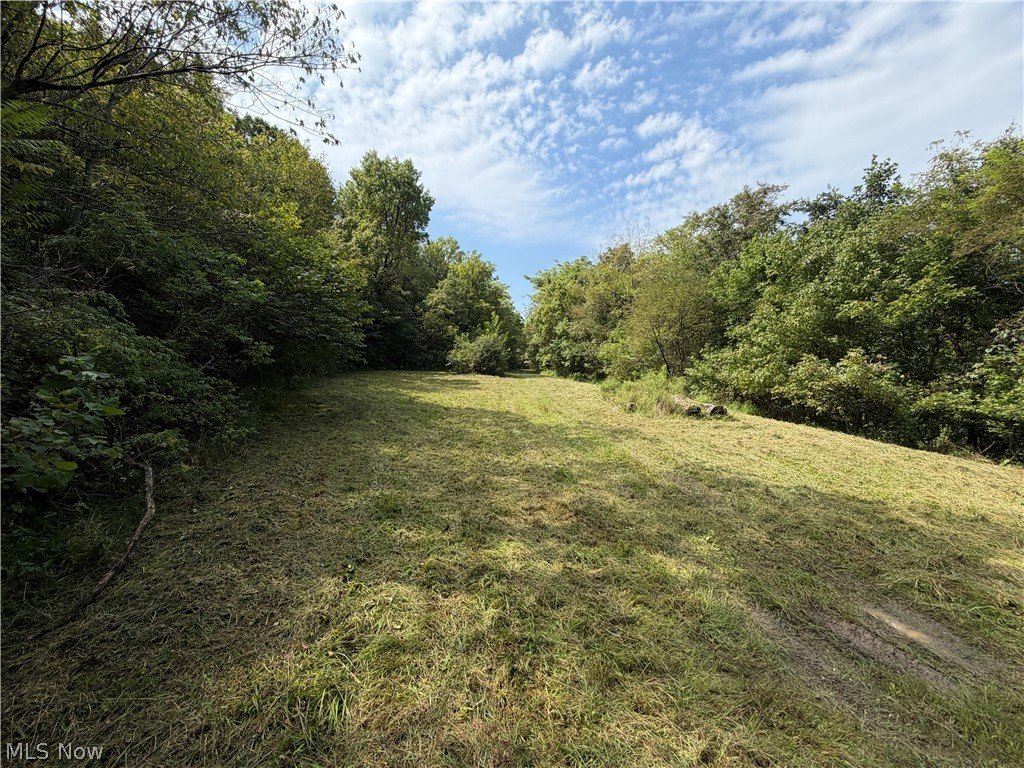 Picture 29