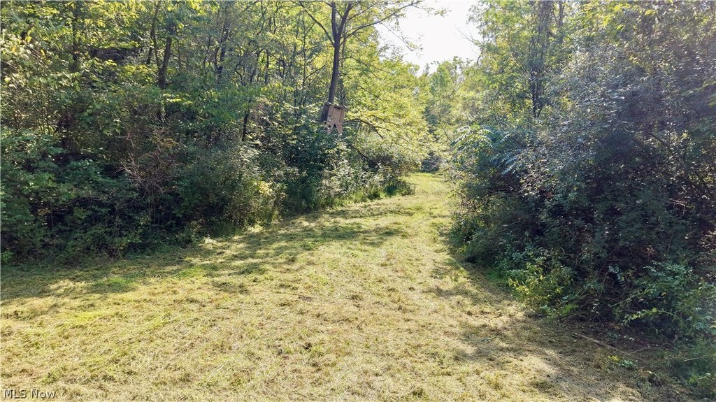 Picture 19