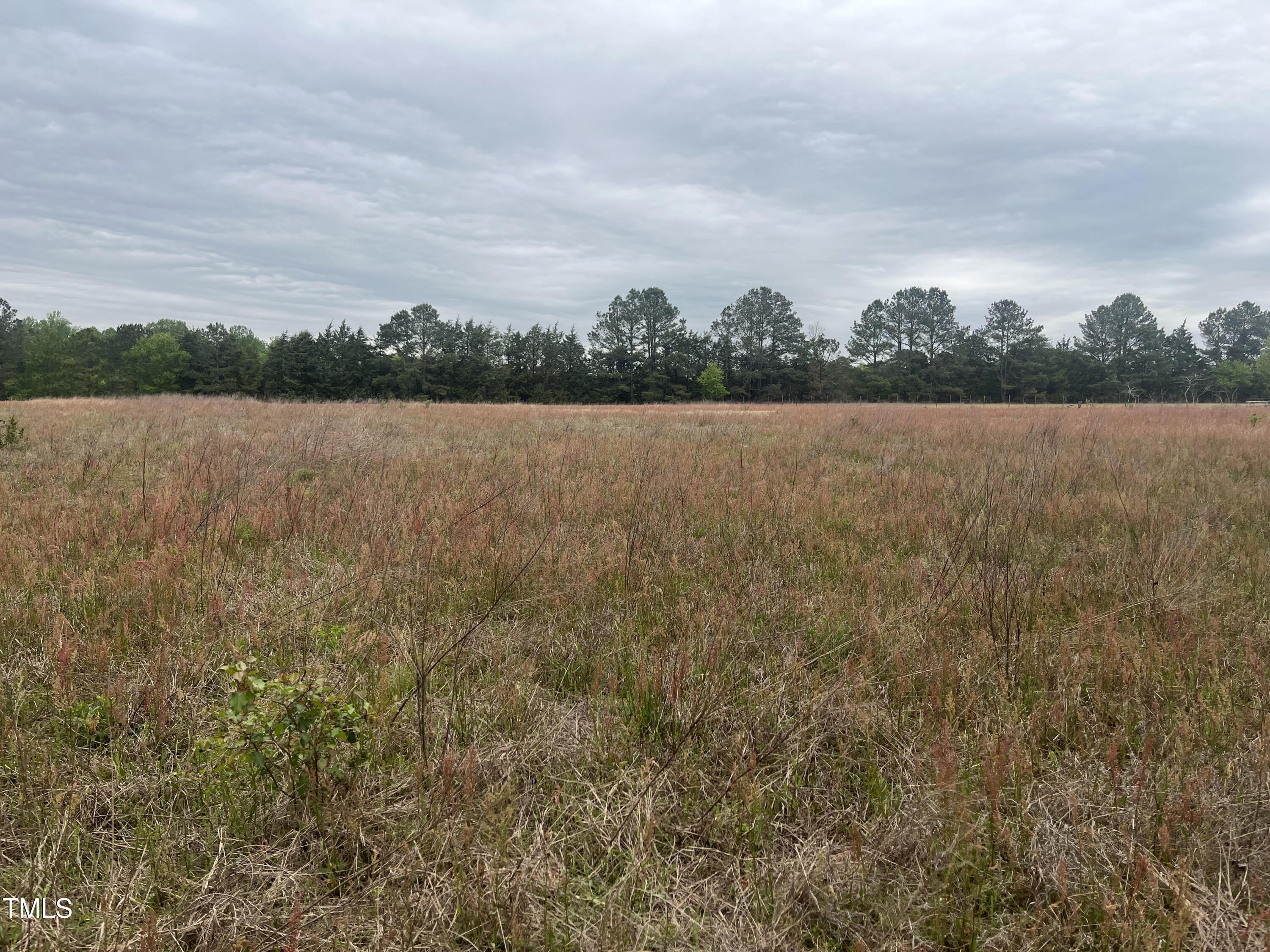 Cleared Land in Newton Grove
