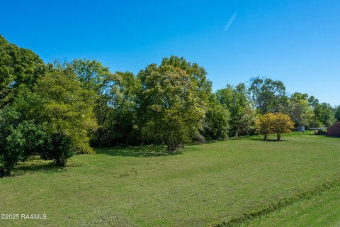 Cleared Lot with Mature Trees