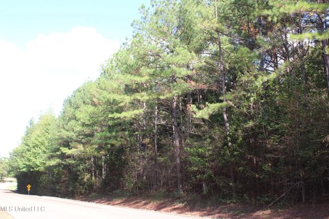 Byhalia, MS Wooded Lots