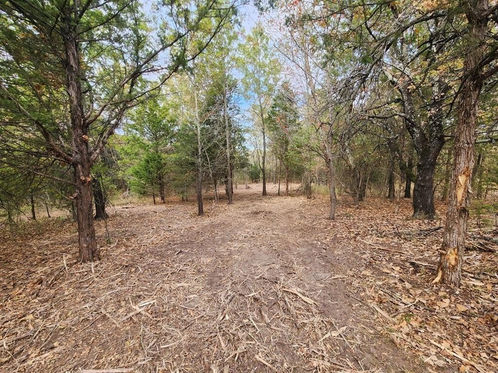 Picture 6