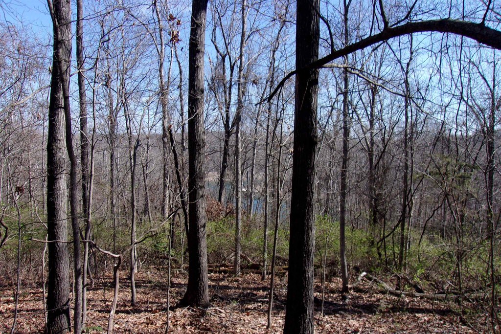 Picture 9