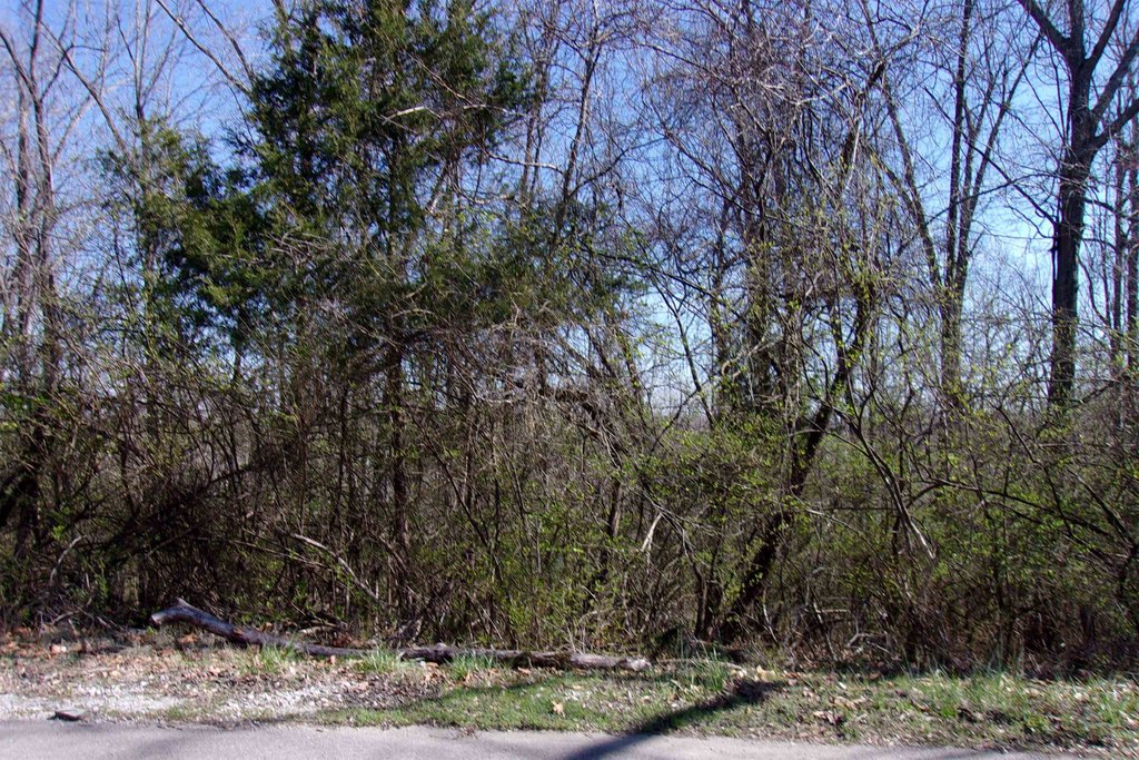 Picture 8