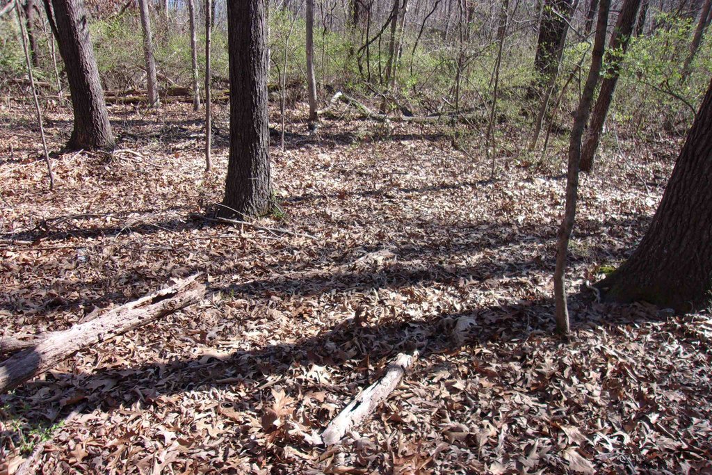 Picture 10