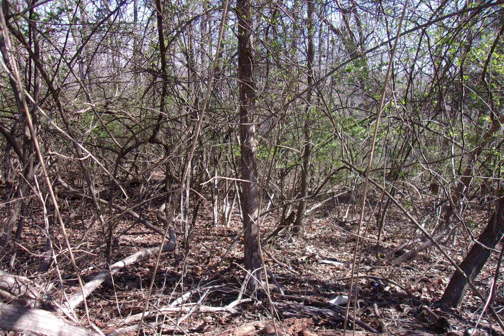 Picture 6