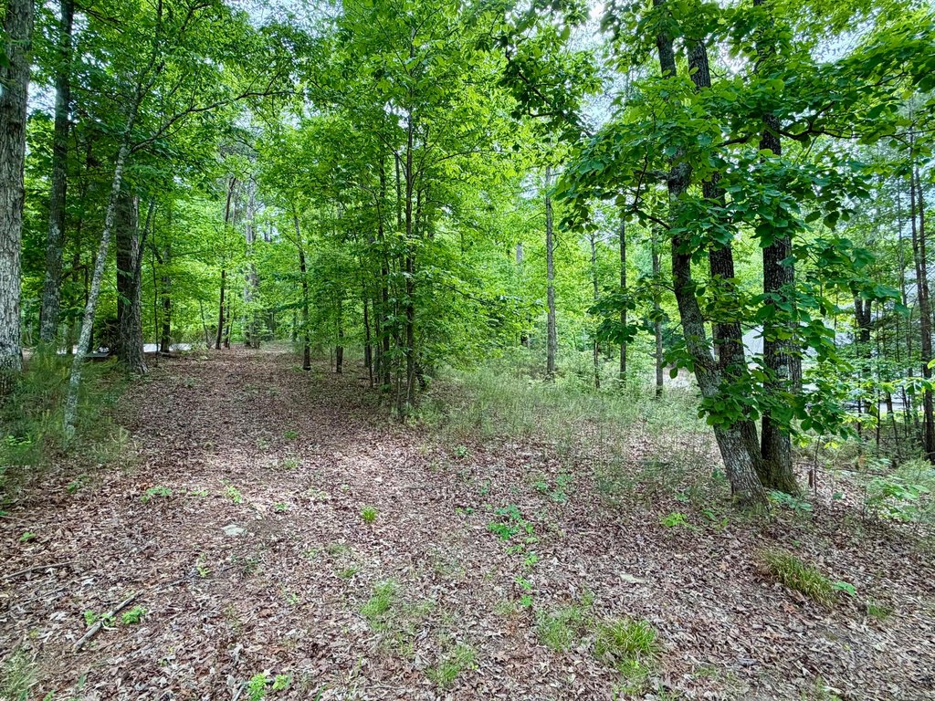 Picture 23