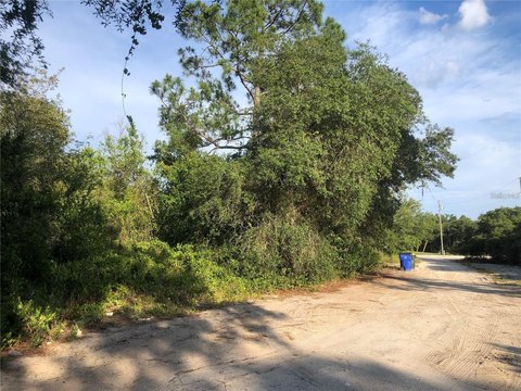 LAND - AVON PARK, FL