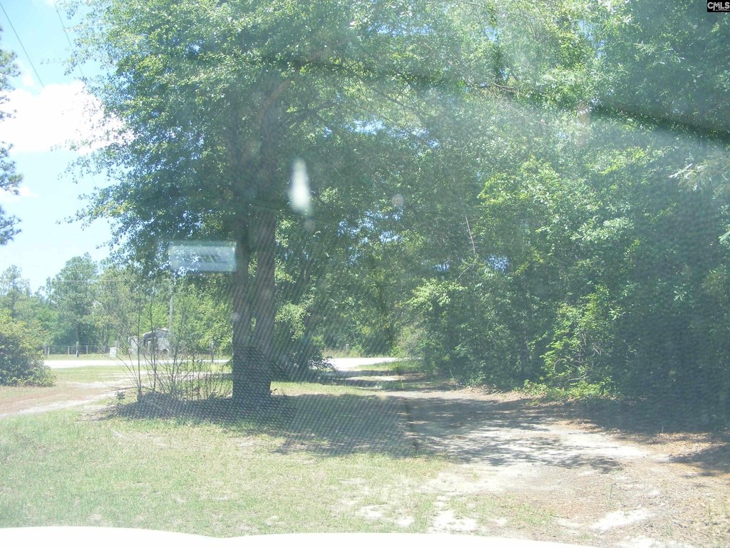 Picture 6