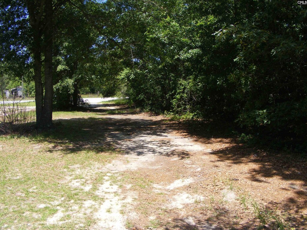Picture 7