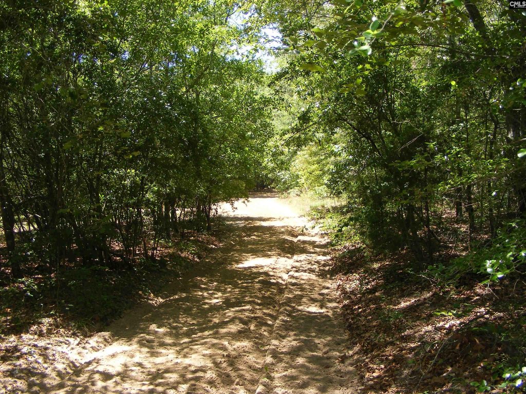 Picture 11