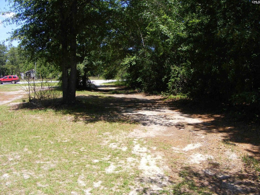 Picture 4