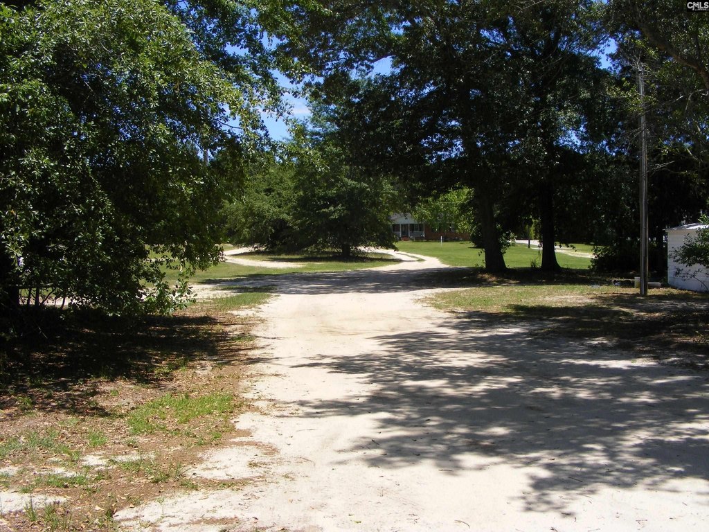 Picture 9