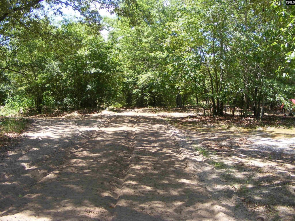 Picture 8