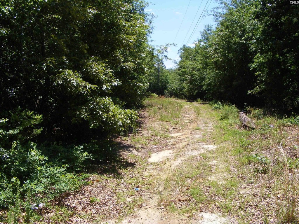 Picture 5