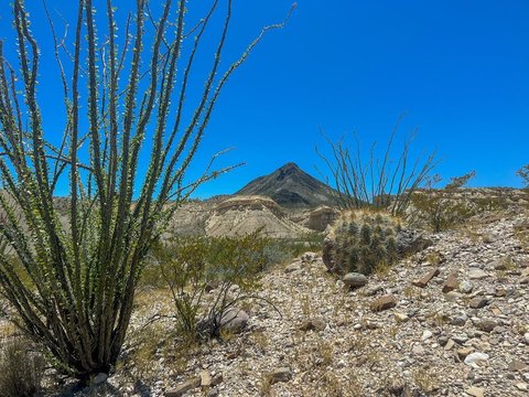40 Acres Near Terlingua Ghost Town