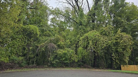Residential Land in Memphis, TN