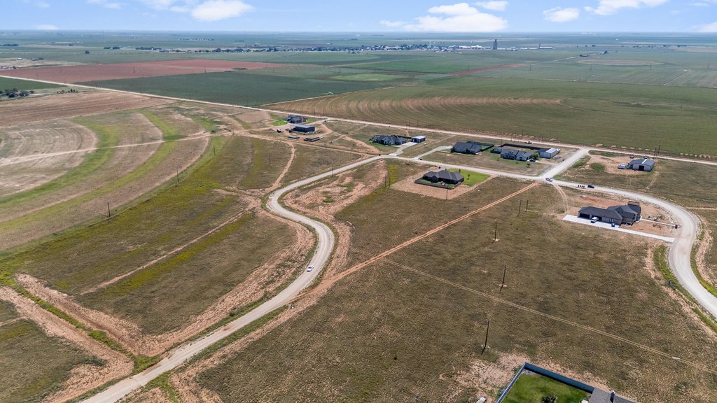 Picture 13