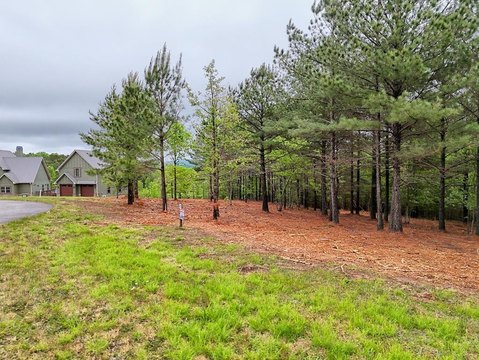 Lake Access Lot in Blairsville