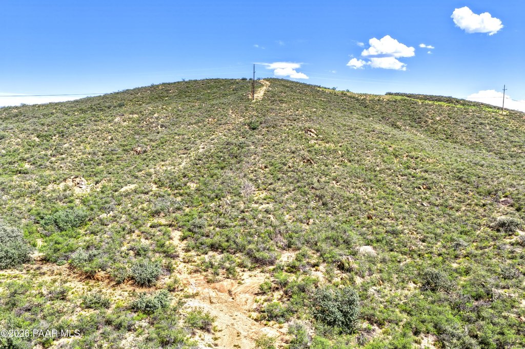 Picture 29