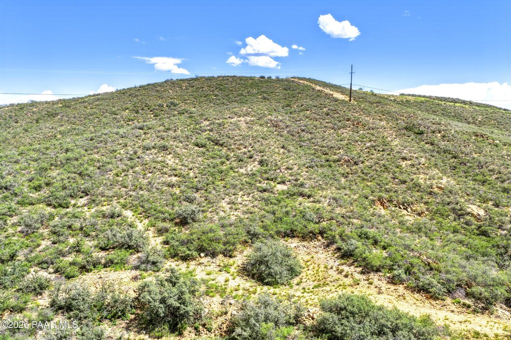 Picture 31