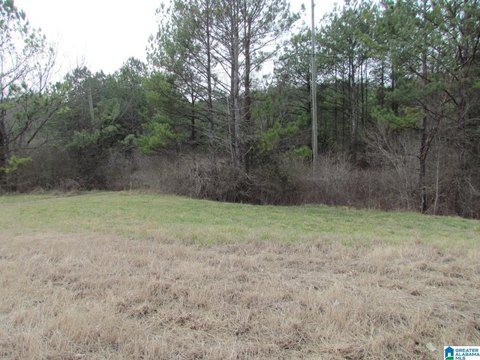 Highway-Frontage Development Land