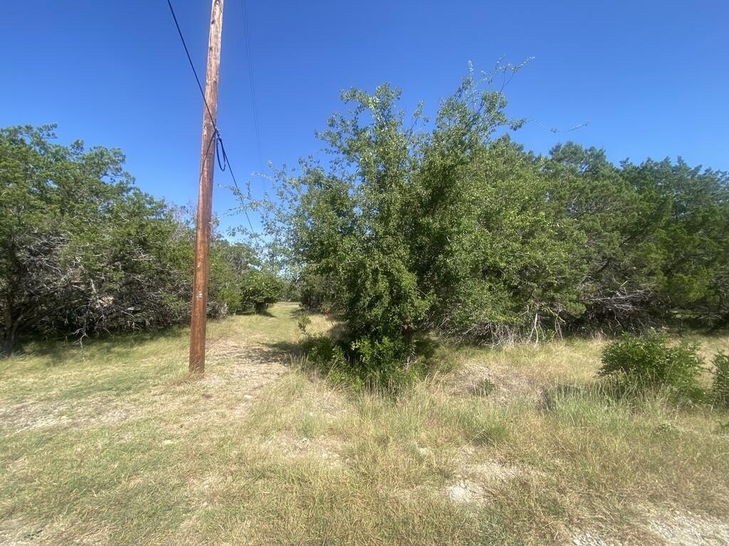 Picture 6