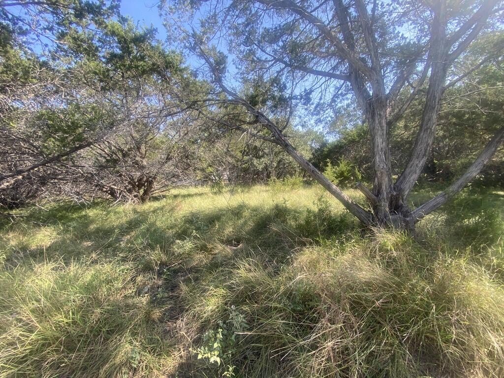 Picture 3