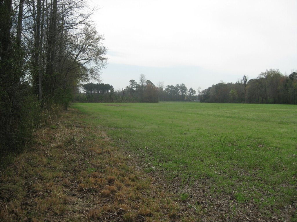 Picture 3