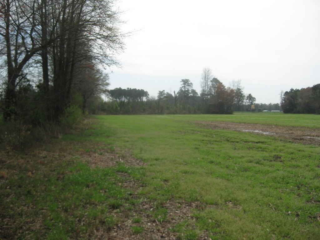 Picture 6