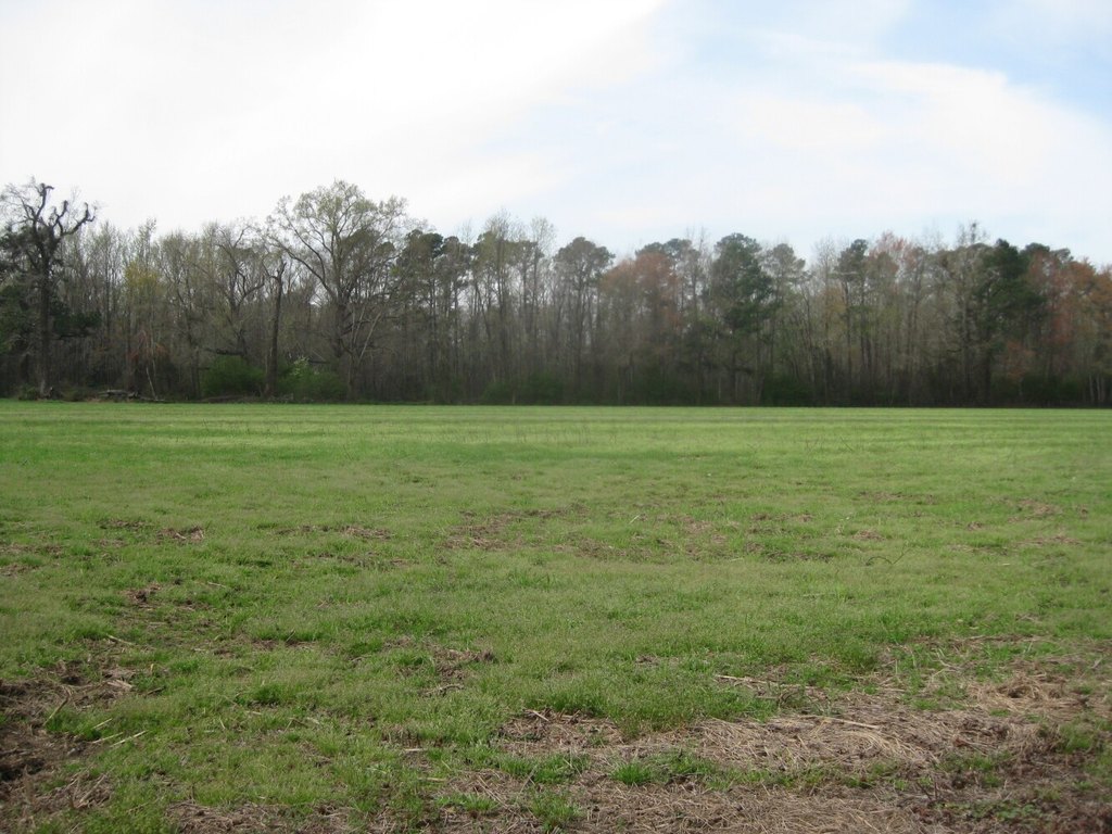 Picture 8