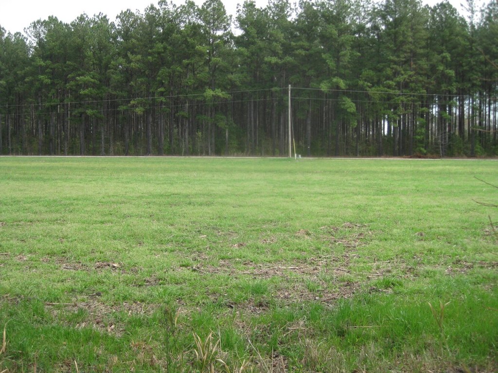 Picture 4
