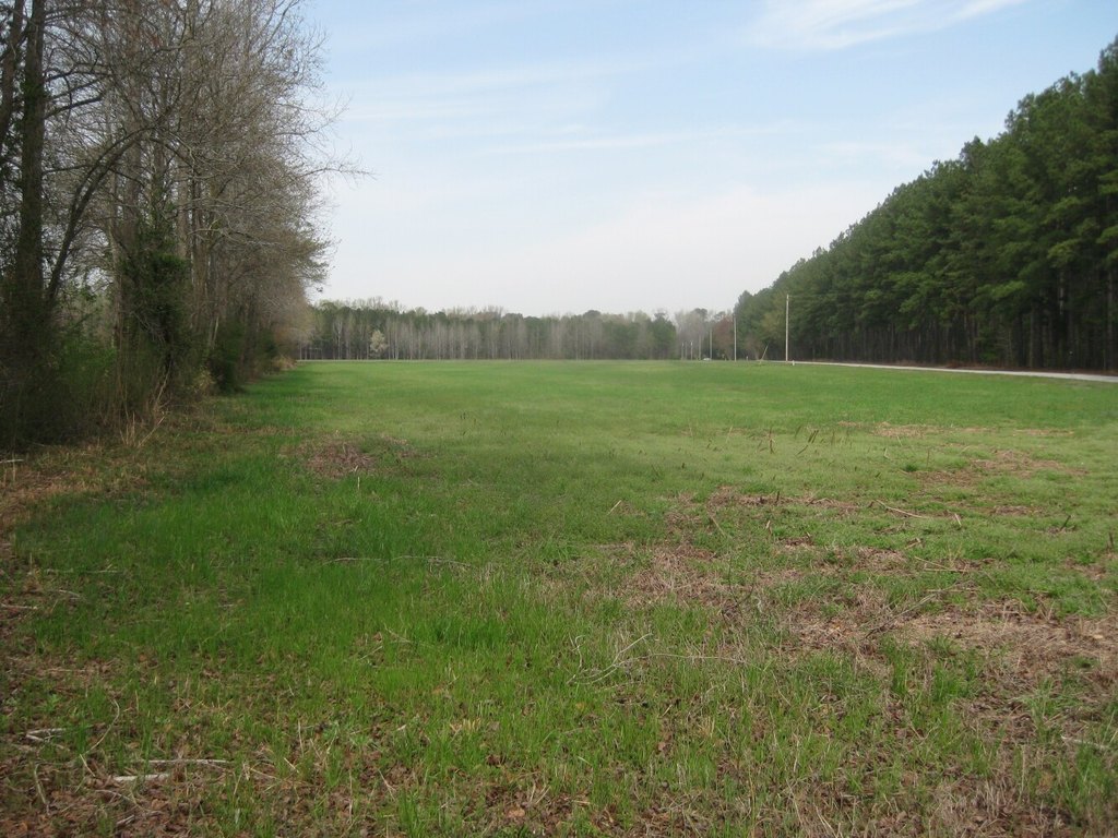 Picture 10