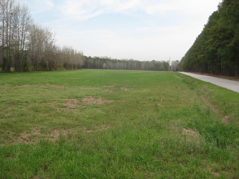 Open Level Farmland Parcel