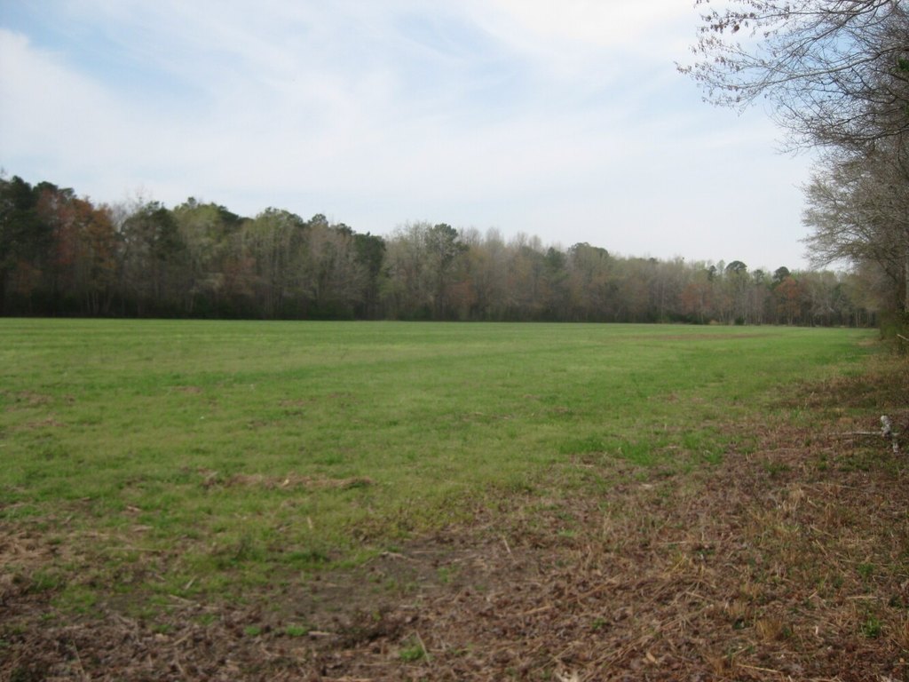 Picture 9