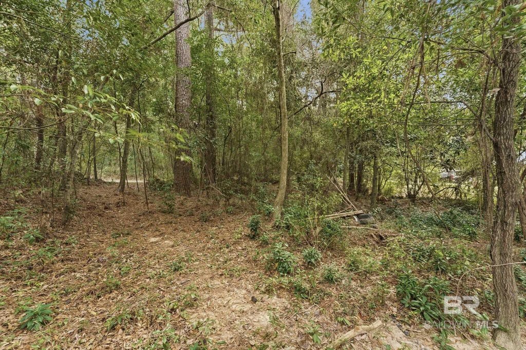 Picture 15